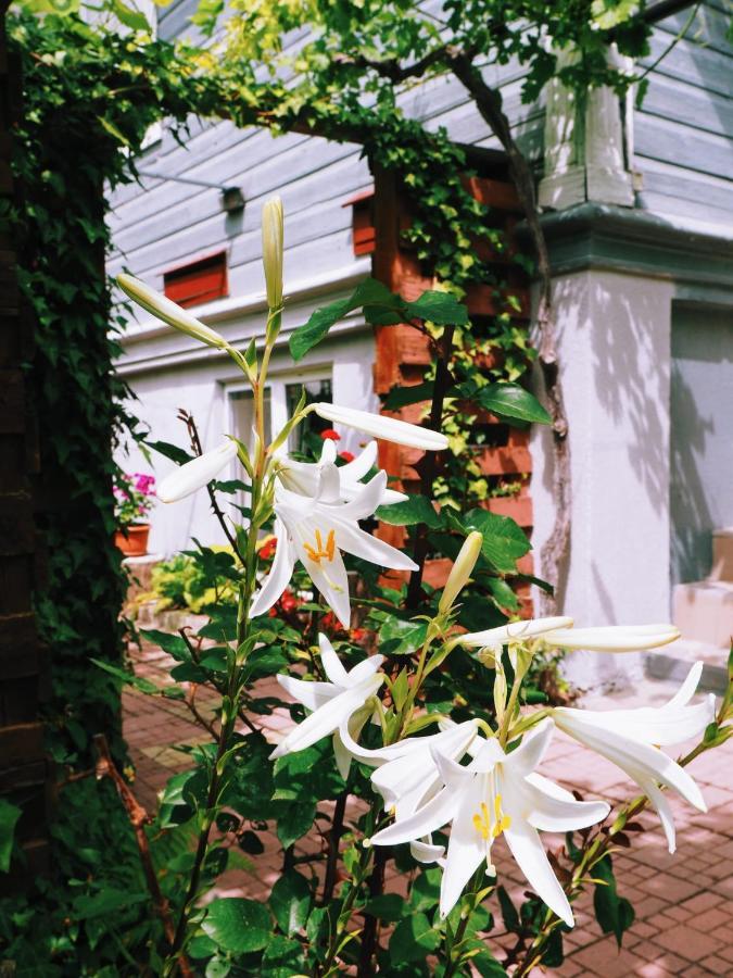 Casa De Vacanta Rodica Sulina Eksteriør bilde