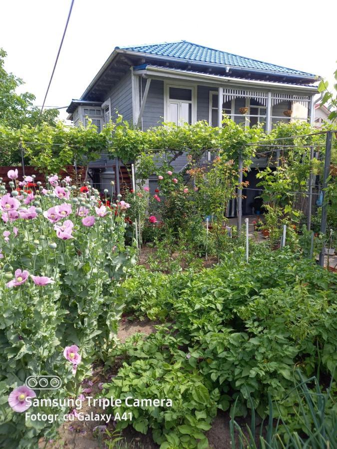 Casa De Vacanta Rodica Sulina Eksteriør bilde